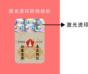 燙印激光鐳射標(biāo)